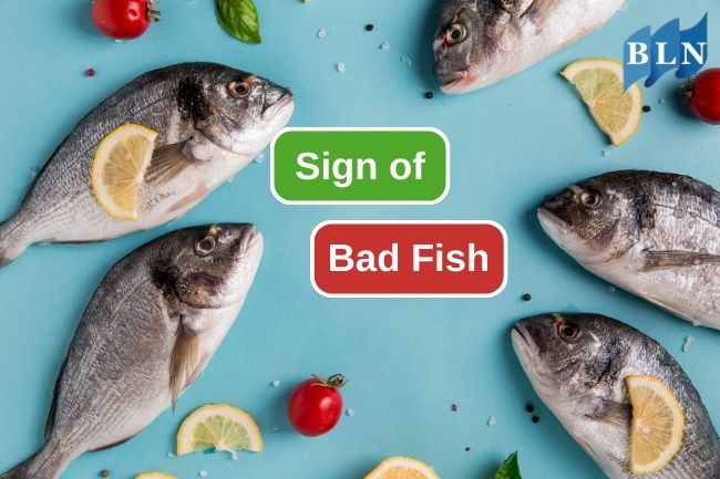 8 Signs Of Fish That Are Bad For Consumption